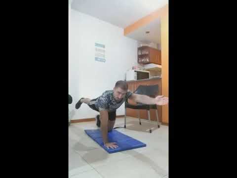 Vídeo del ejercicio: Bird dog (perro de caza)