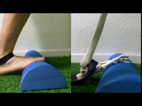 Vídeo del ejercicio: Dorsiflexión con banda